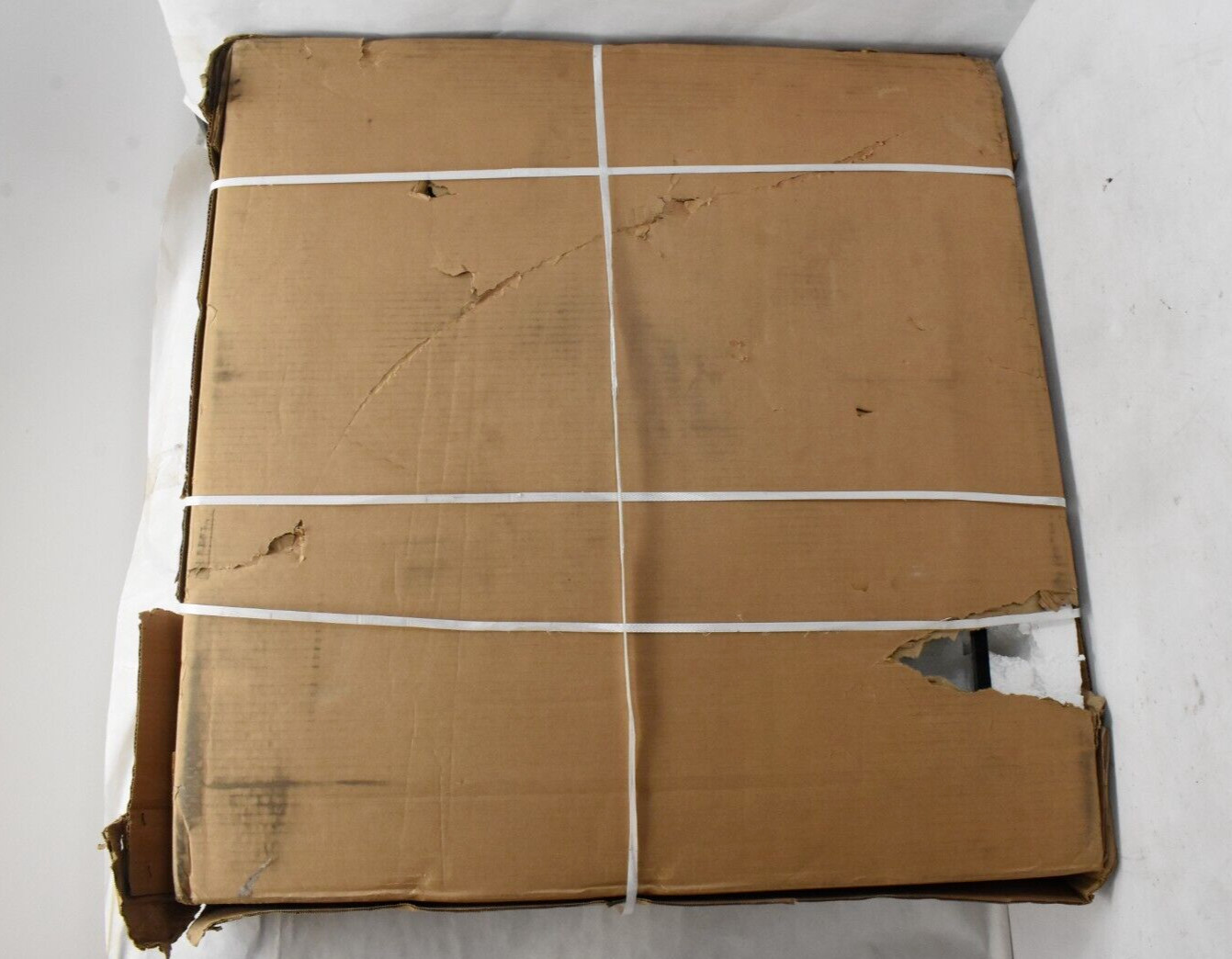 International Truck & Engine Corp Genuine OEM Insulated Glass 16V INT 2203473C1