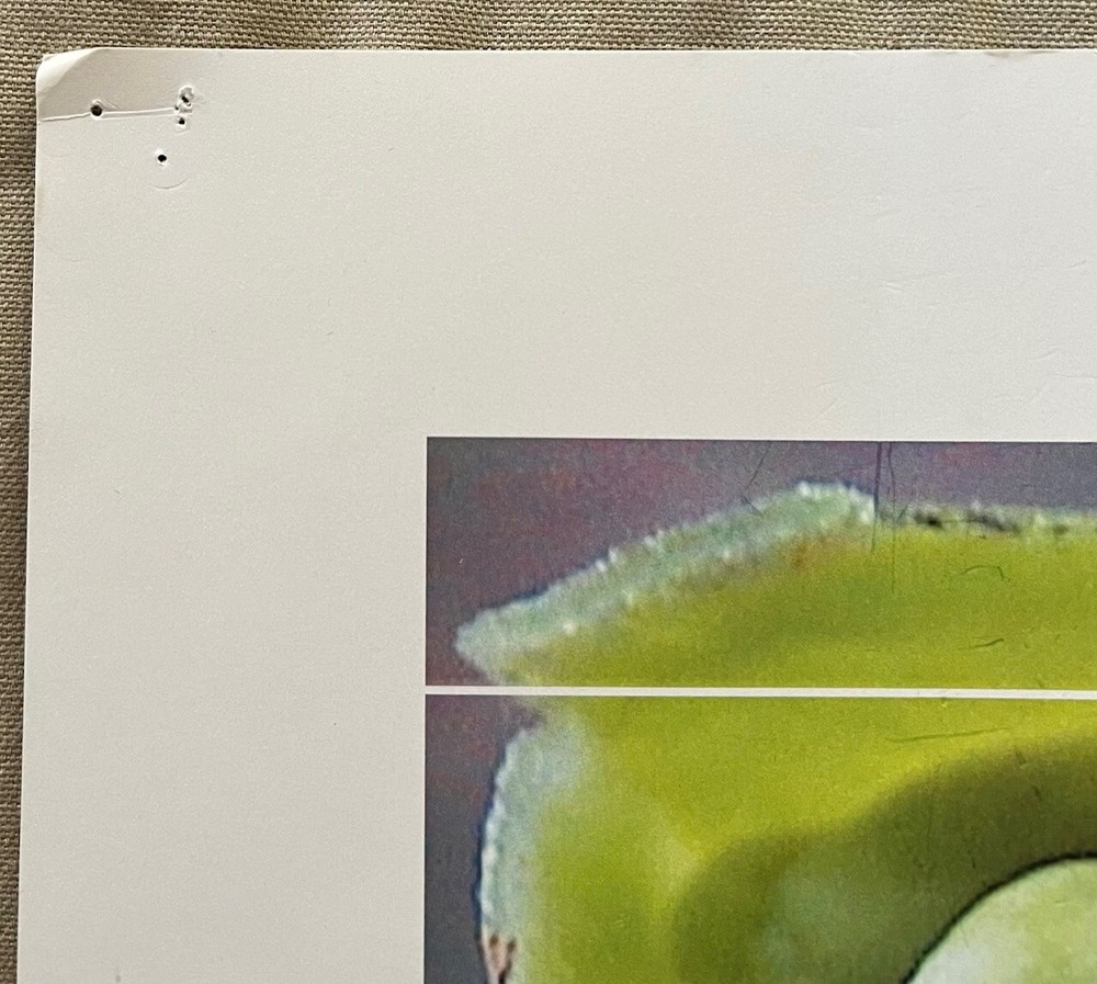 Fiona Apple - Extraordinary Machine RARE promo poster print '05