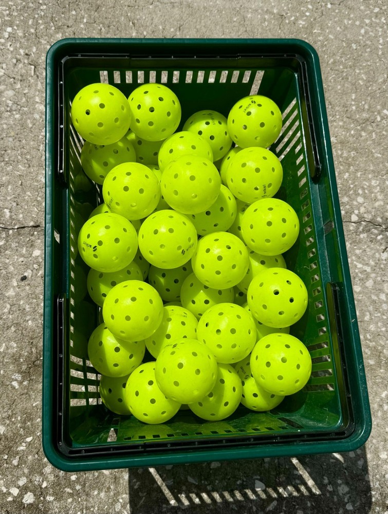 Srikel pickleballs