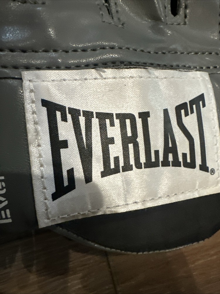Everlast Boxing Punch Mitts