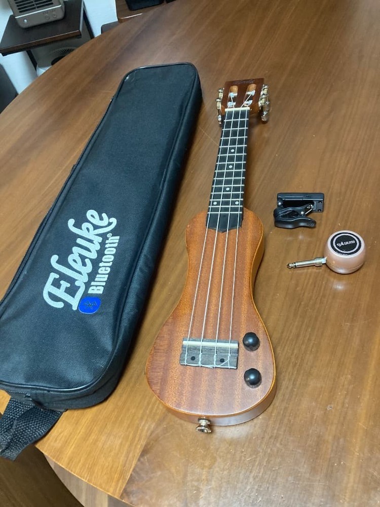 EleUke peanut electric ukulele
