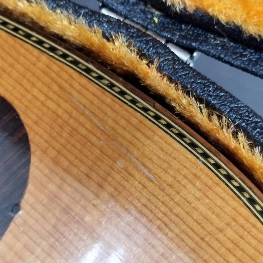 ◇Mandolin SUZUKI M-215 with hard case
