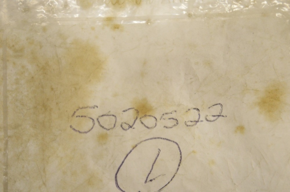OEM Polaris 5020522 Hex Nut NOS
