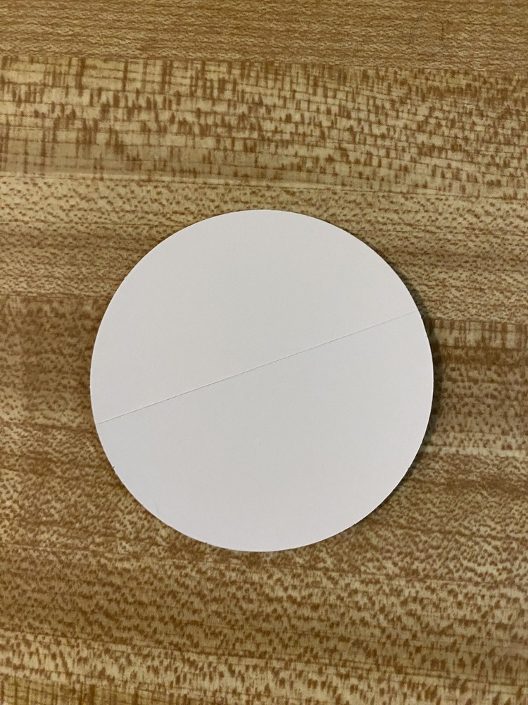 Buc-ee's Beaver Stickers 3 different Sizes
