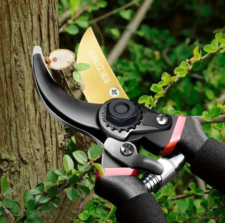 Bonsai Multi-functional Pruning Shear Garden Tools Heavy Duty
