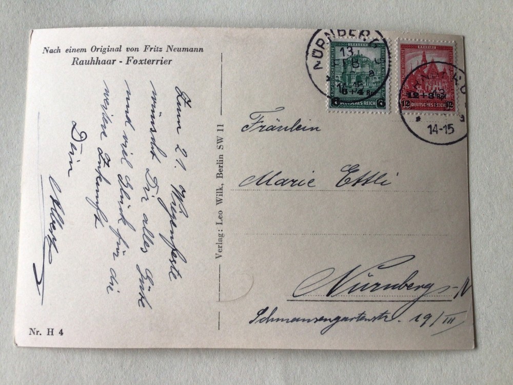 Germany Rauhhaar Foxterrier  Nurnberg postcard  Ref A399
