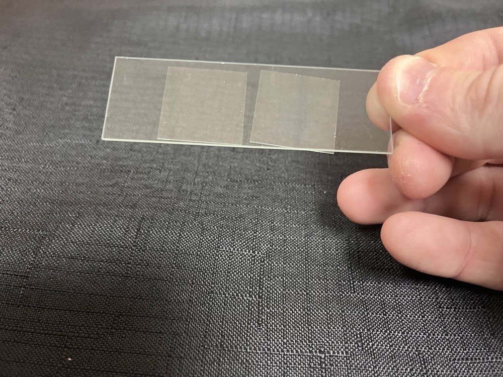 Microscope Slide and Cover Set (50 Ct.)