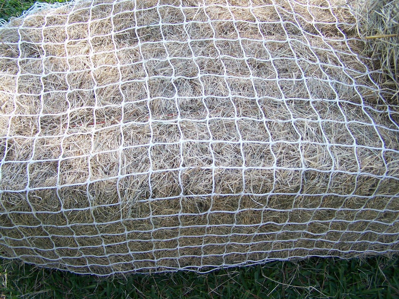 18' x 8' WHITE SQUARE NYLON HORSE HAY NET 2" #42 TEST 420 LBS / 1260 Lbs Mesh