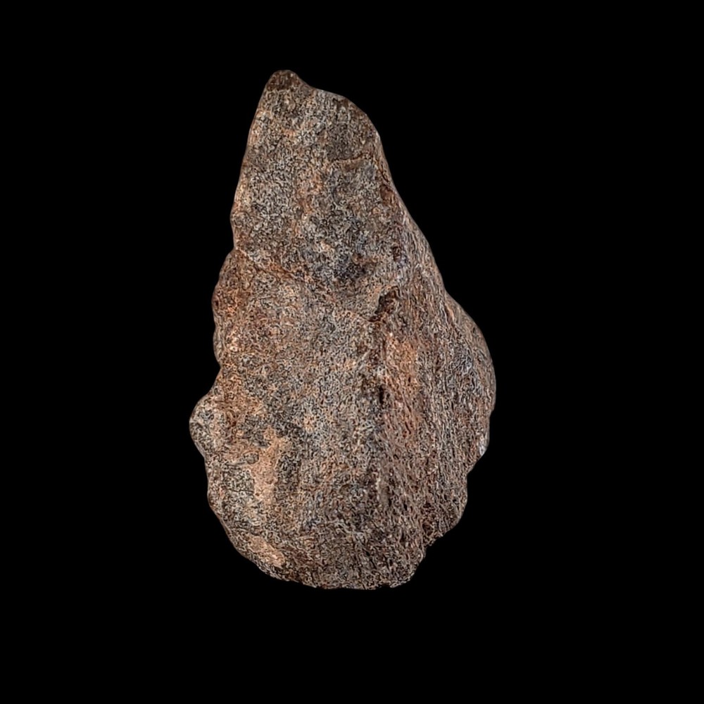Jurassic Dinosaur Fossil Bone from Morrison Formation Includes Display