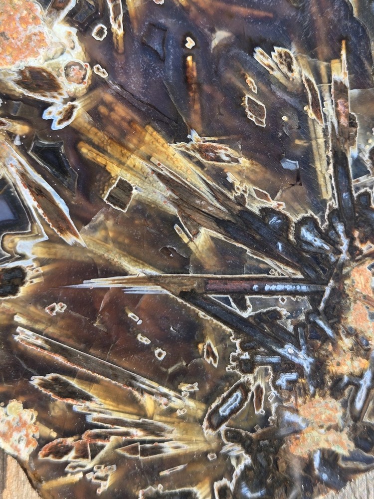 Turkish Stick Agate Slab Slice Lapidary Unique Ankara Turkey