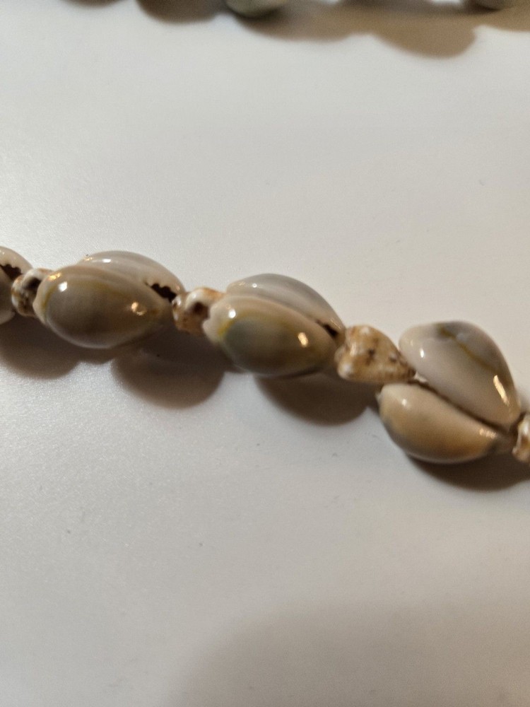 18" Vintage Shell Necklace