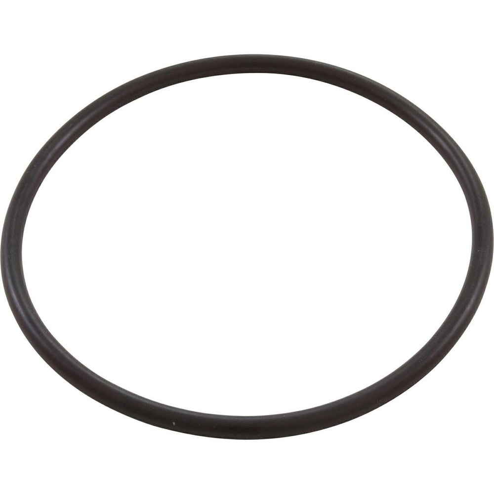 Pentair 350013 Lid O-Ring Replacement Pool and Spa Pump