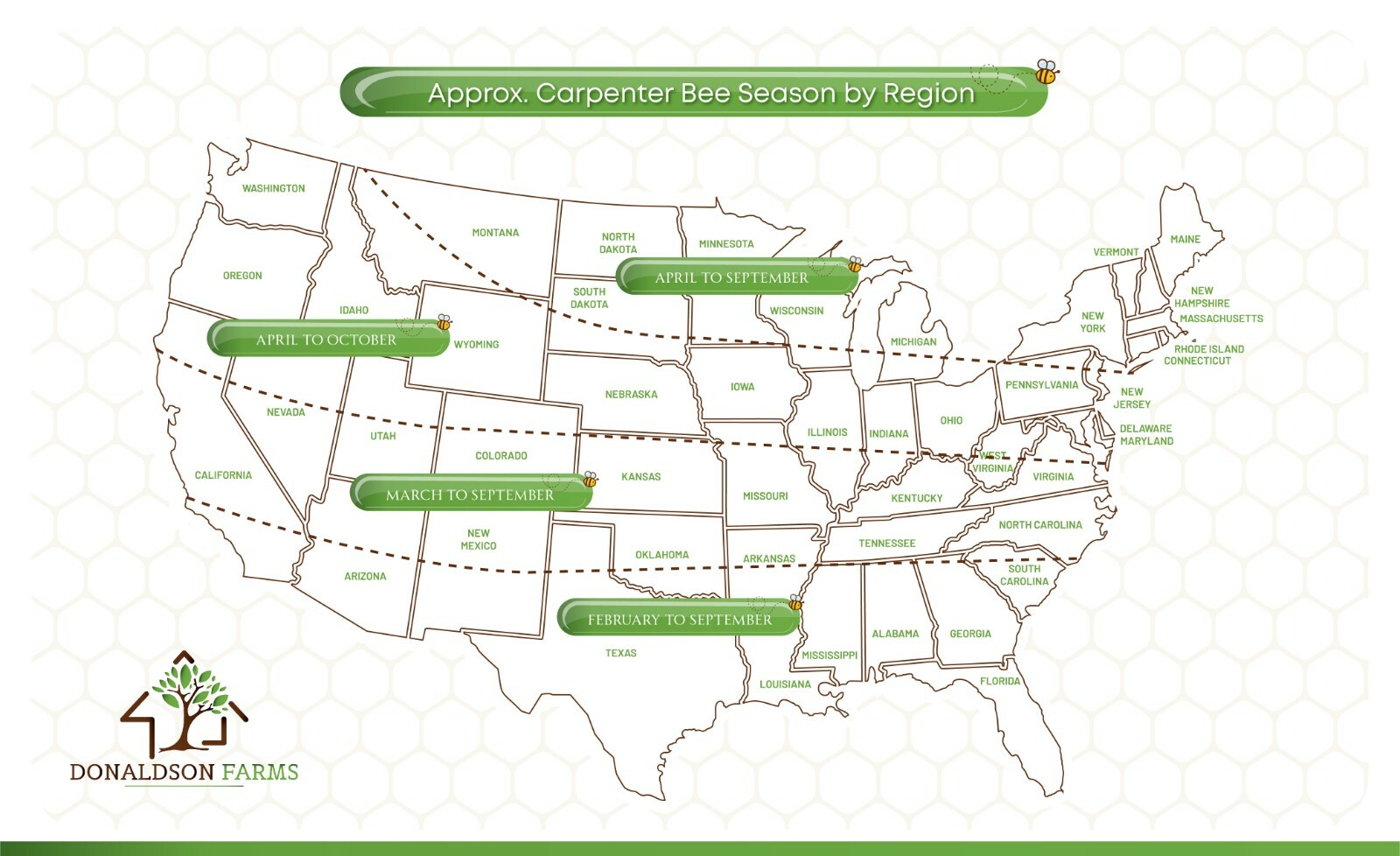 Donaldson Farms Carpenter Bee Trap Lure Attractant All Natural