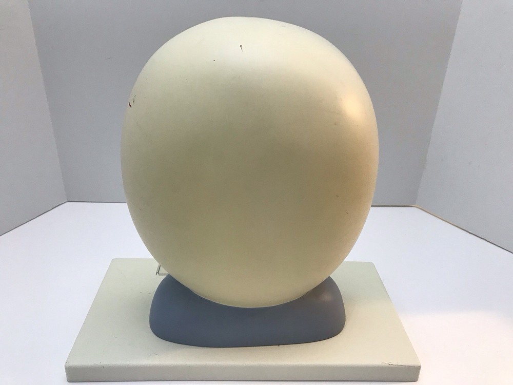 Eisco Labs Plant Cell Model Electron Microscope Structure Science Display Class