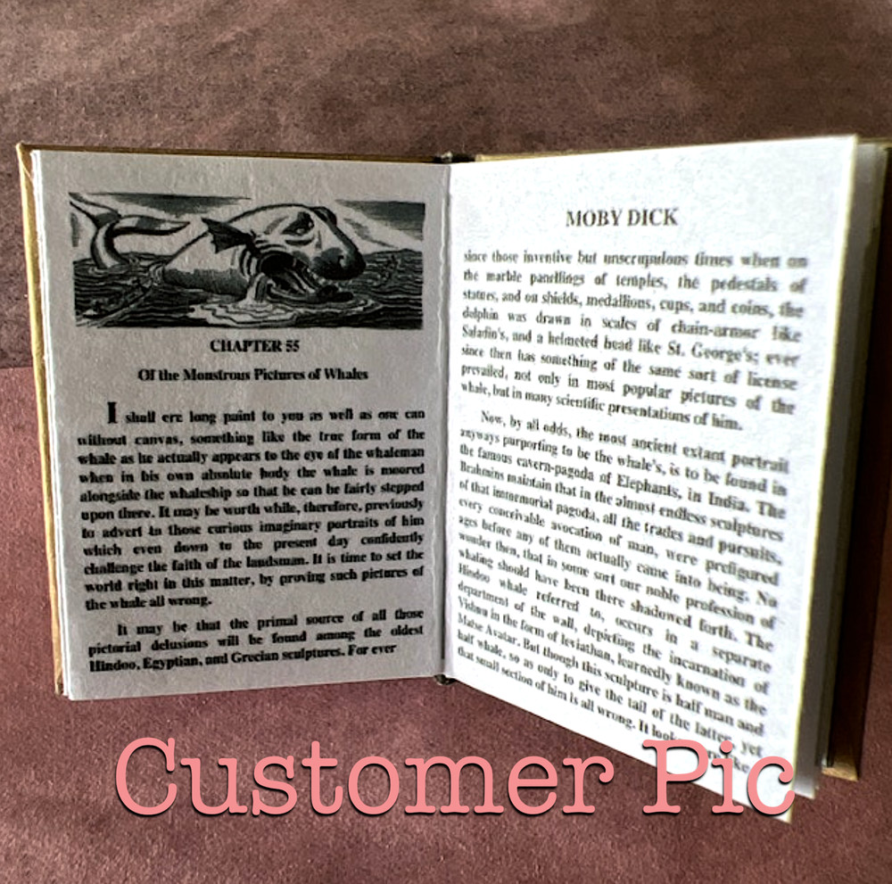 1:6 Scale MOBY DICK Miniature Illustrated Readable Book