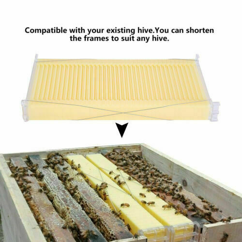 7PCS Auto Beehive Frames Beekeeping Frames Bee Hive Harvest Honey Tool Beekeeper