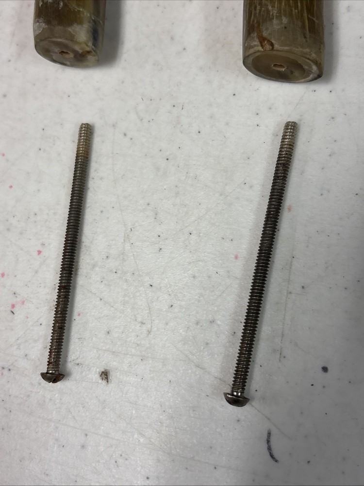 Animal Horn Cap Wall Hooks
