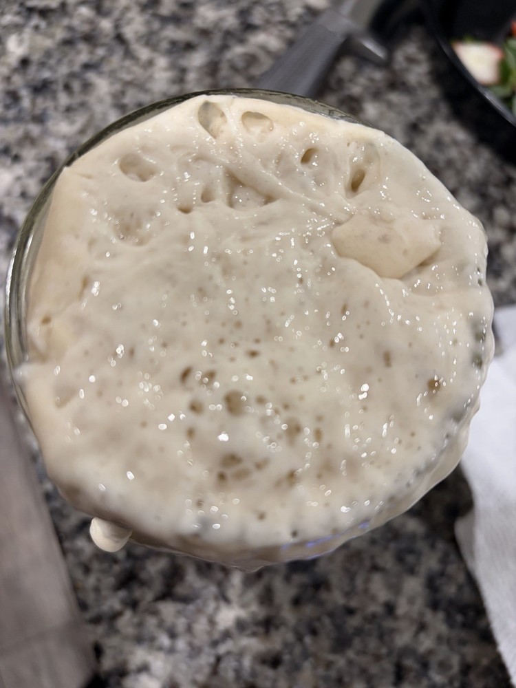 Dried Sourdough Starter with Instructions