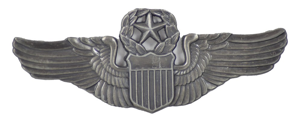 COMMAND PILOT HAT PIN