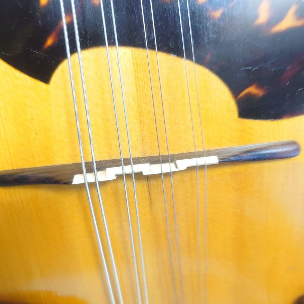 1975 Iwasaki Mandolin with hard case Ohno