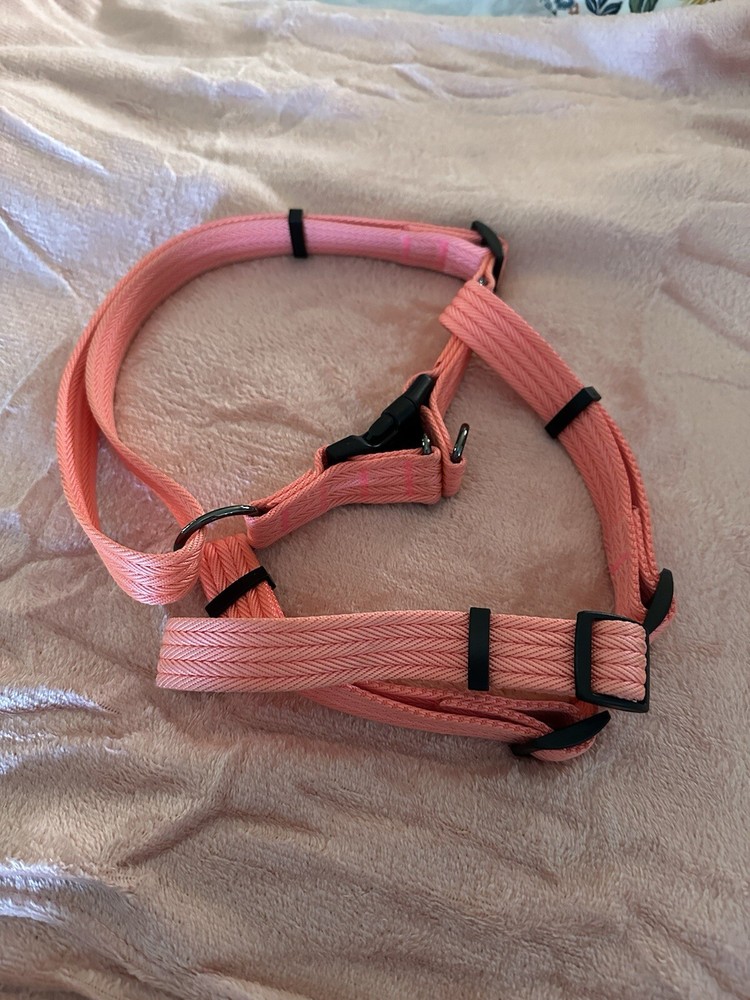 Coral Large Dog Harness