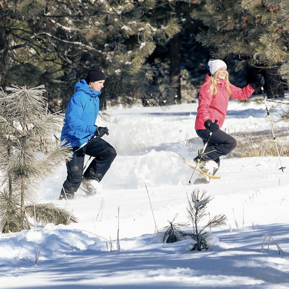 Denali Pro Snowshoes 8x21 Winter Hiking Kit w/ Poles & Carry Bag – 150 lb Rated