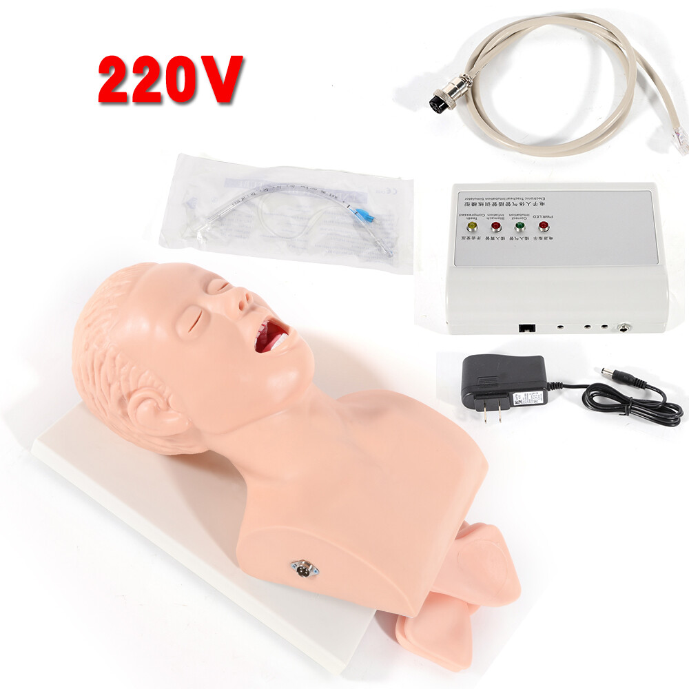 Airway Management Trainer Study Adult Oral Intubation Manikin Teaching Model NEW