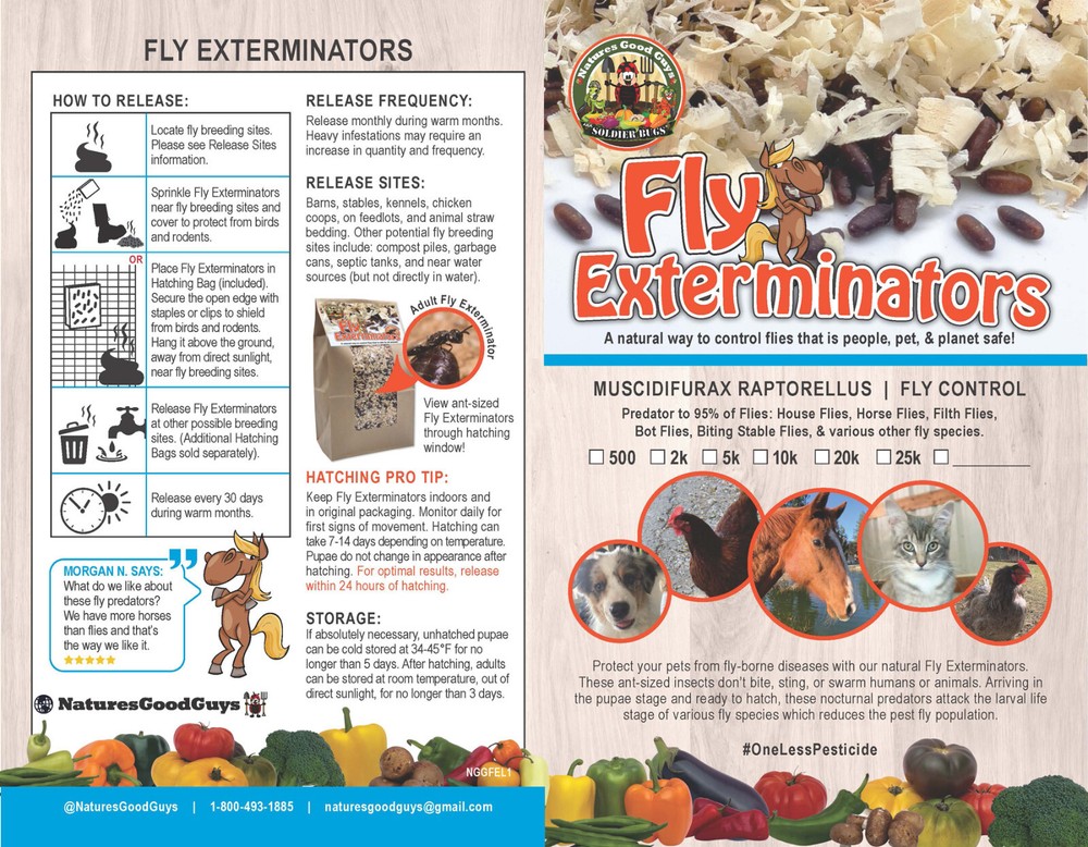 NaturesGoodGuys - Fly Exterminators