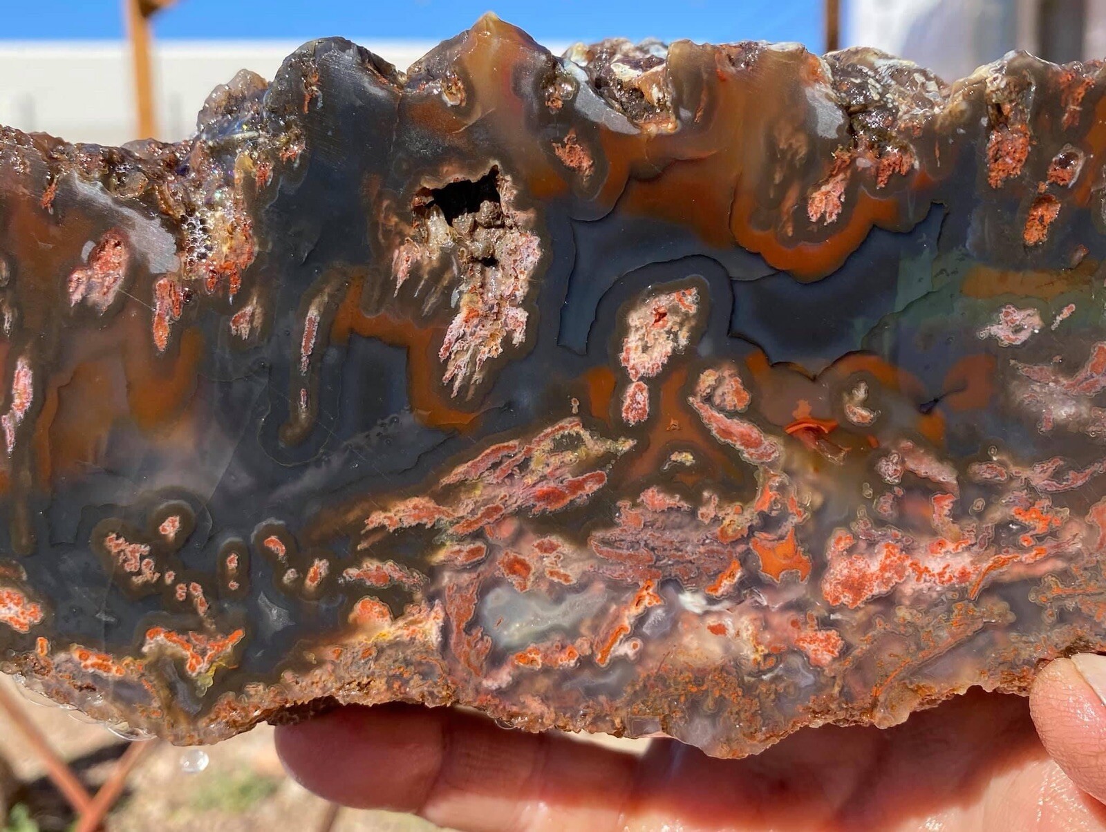 Colorful Agates From o6 Kokernot West Texas Ranch: Agate Rough Lapidary Rock