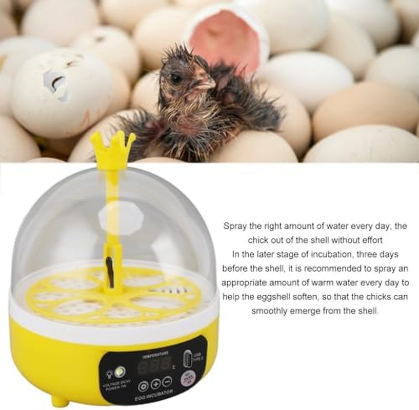 Mini Egg Incubator, Temperature Control Digital Incubators, 4 Eggs Candler Poult