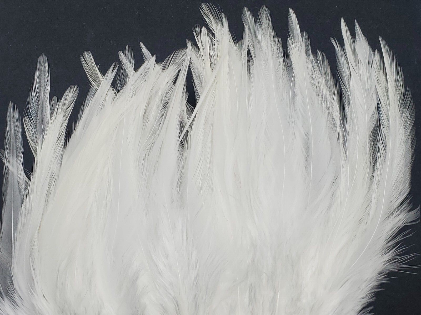 Nimrod's Tackle 1/4 oz SADDLE HACKLE FEATHERS FLY TYING MATERIAL 5-7" Pick color