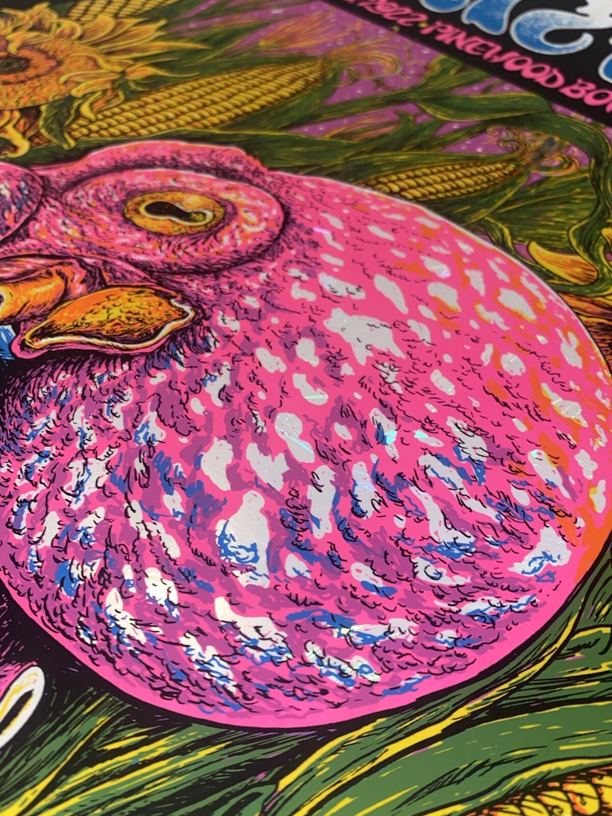 Dirty Heads Poster Lincoln NE 8/10/22 Silkscreen White Swirl Foil S/N Official