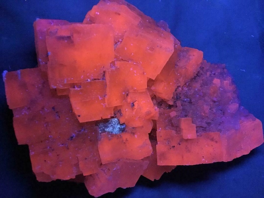 KB: 7" LARGE BRIGHT FL. ORANGE/RED SW HALITE XLS. FROM ARGENTINA