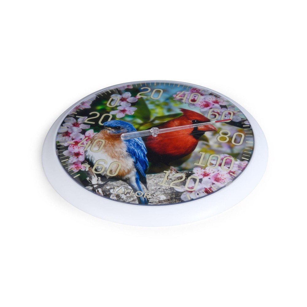 Taylor Cardinal/Bunting Dial Thermometer Plastic Multicolored