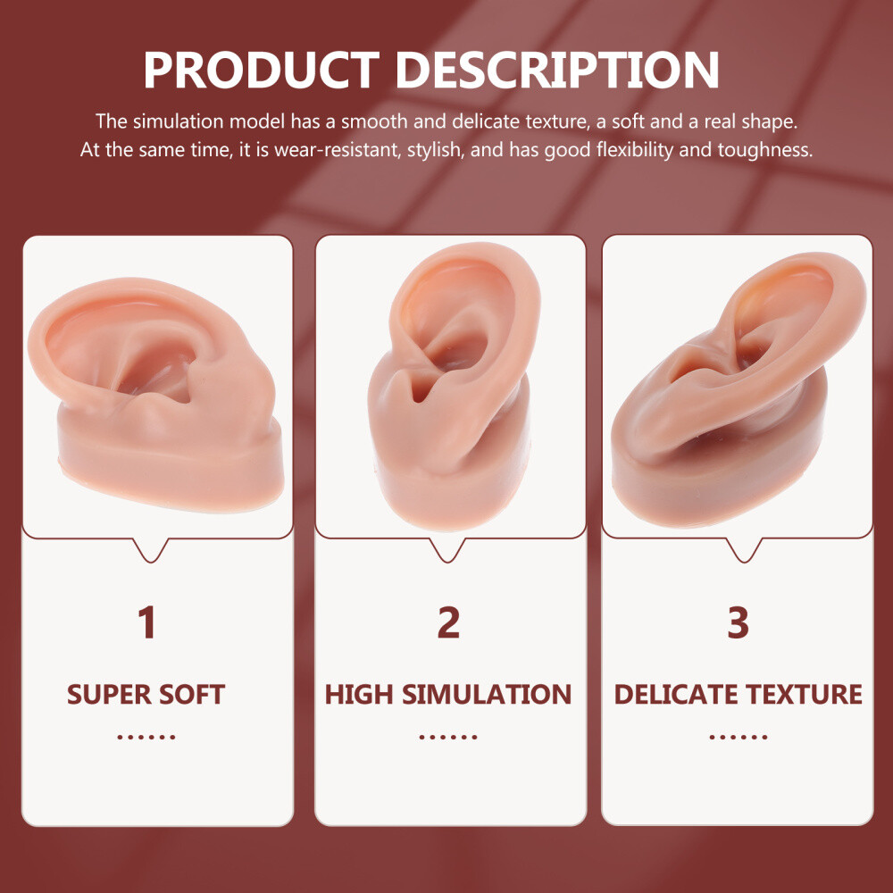 Simulation Human Ear Model ear model for teaching Ear Model Silicone Ears