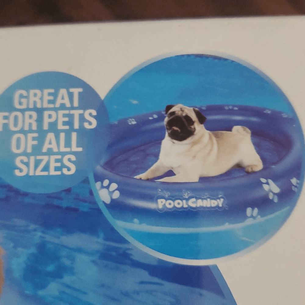 NIB POOL CANDY INFLATABLE PET FLOAT
