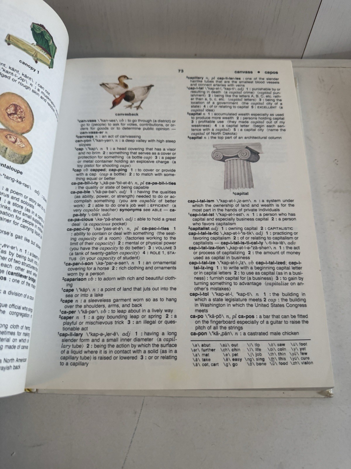 Webster's Elementary Dictionary 1980 Yellow Cover