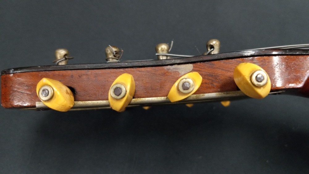 Marshall Field & Co Luxton Chicago Mandolin (READ DESCRIPTION)