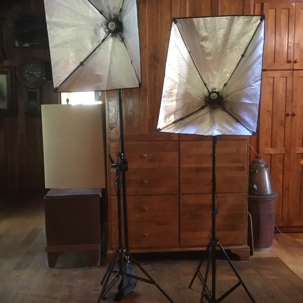 Mount Dog Soft box Lighting Set