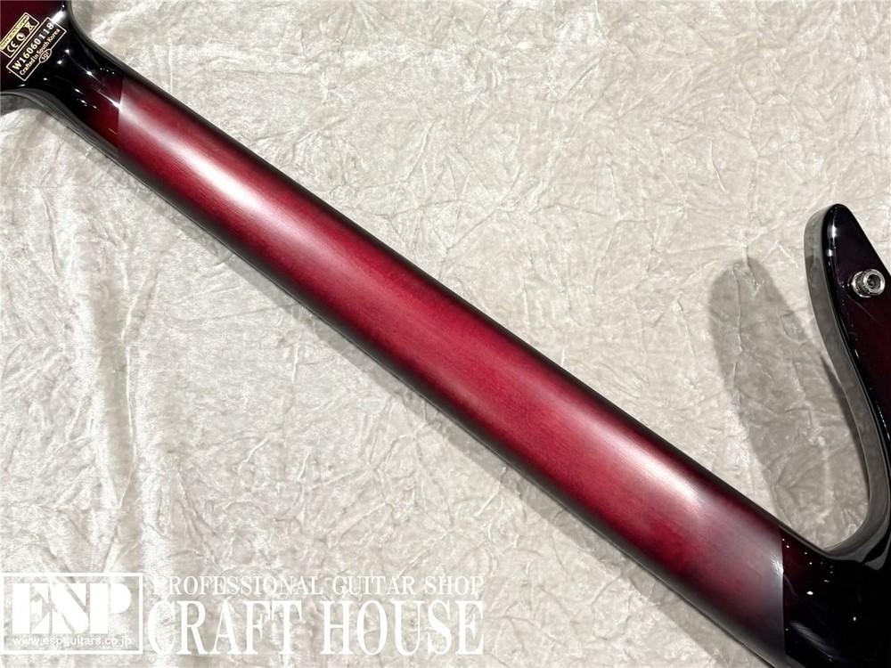 SCHECTER Nikki Stringfield A-6 FR S (no260422)