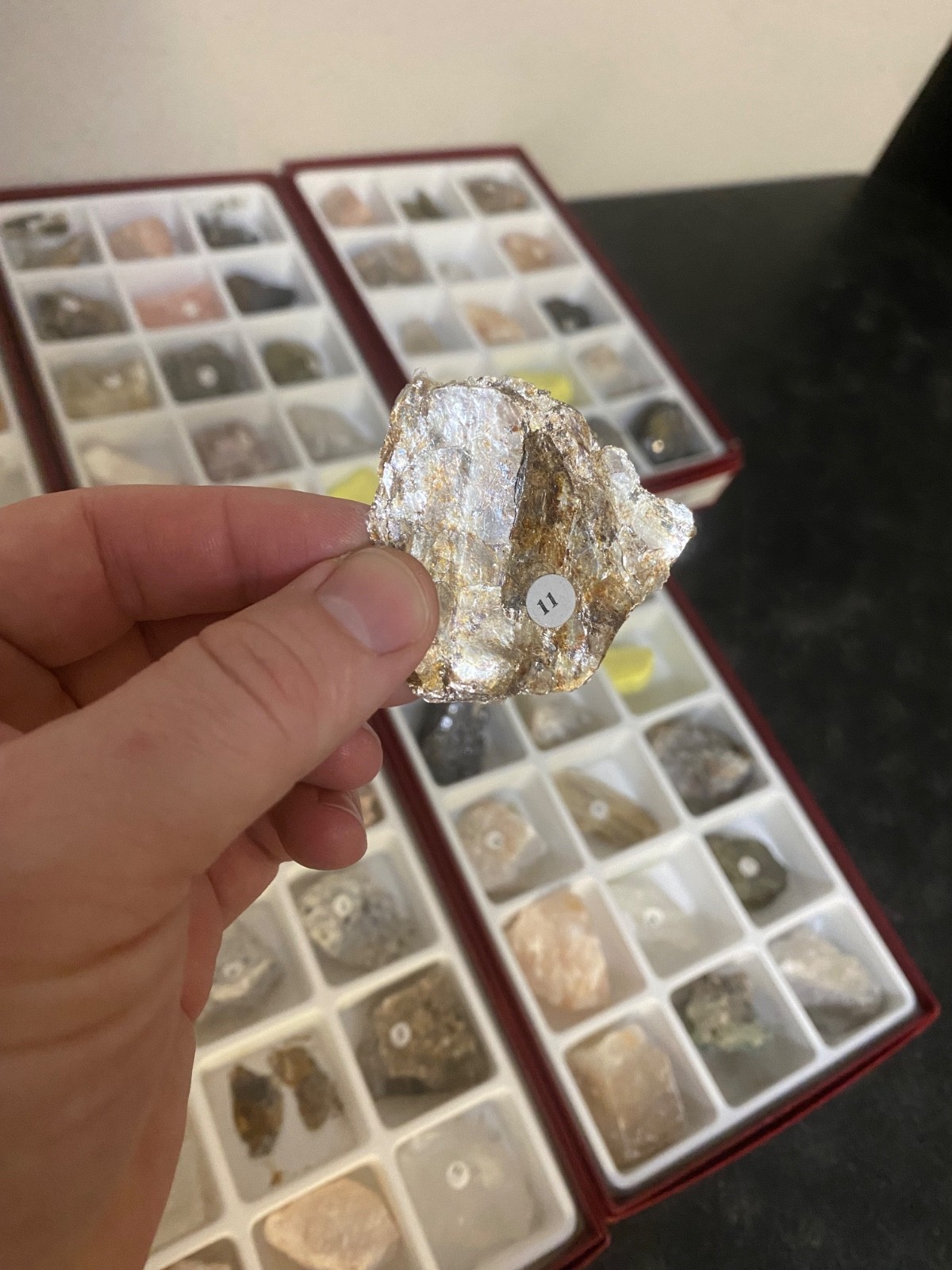 Scott Resources Fossil Rock Mineral Collection for Classroom Geology Educational