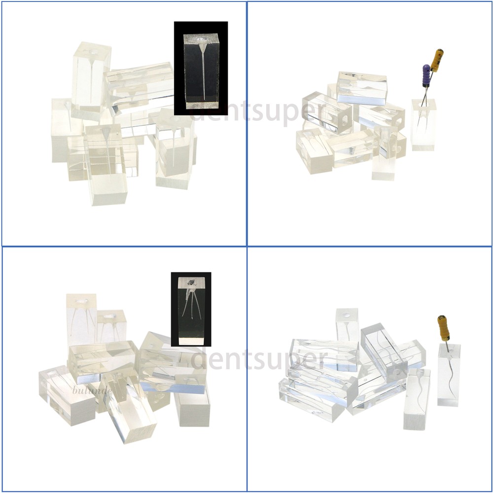 10Pcs Dental Endodontic Study Practice Operation Tooth Model Clear Root Canals