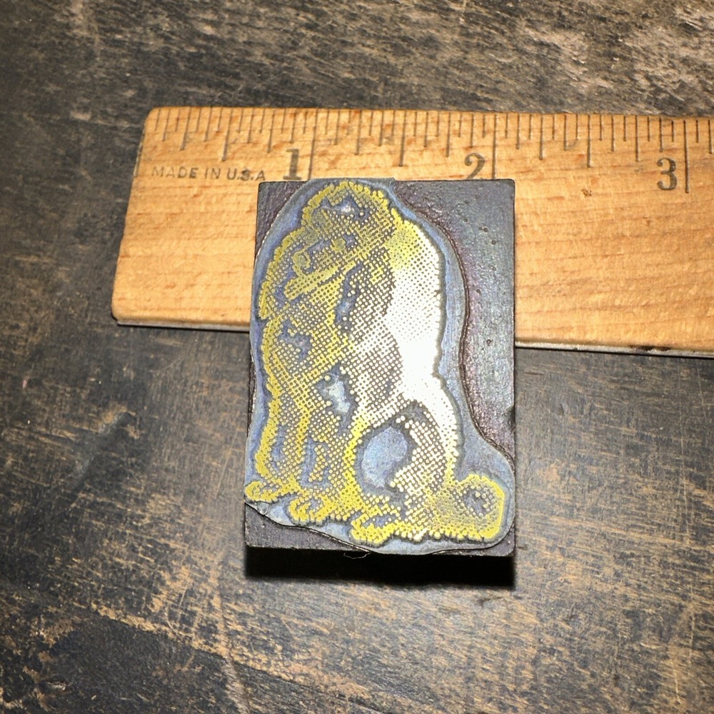 Print Block ( Cute Dog Poodle ) Nice Image!￼