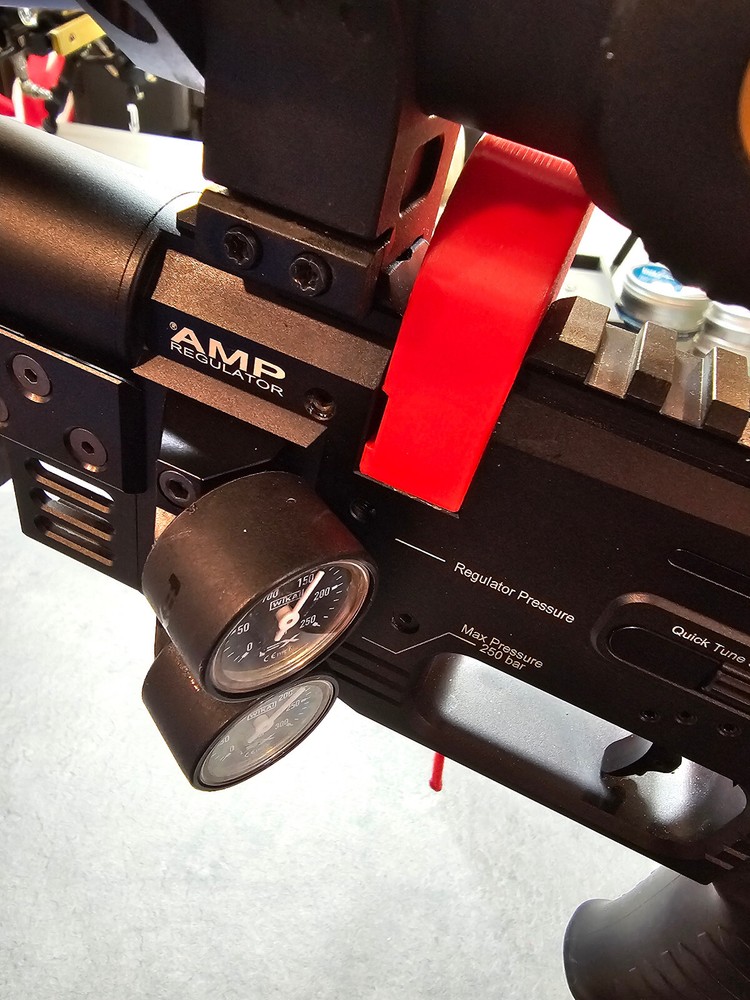 FX Panthera, Crown Chamber Flag