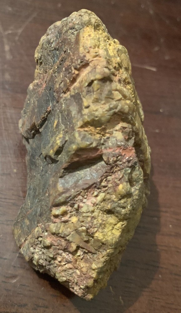 opalized petrified wood Arkansas Fossilized Agate