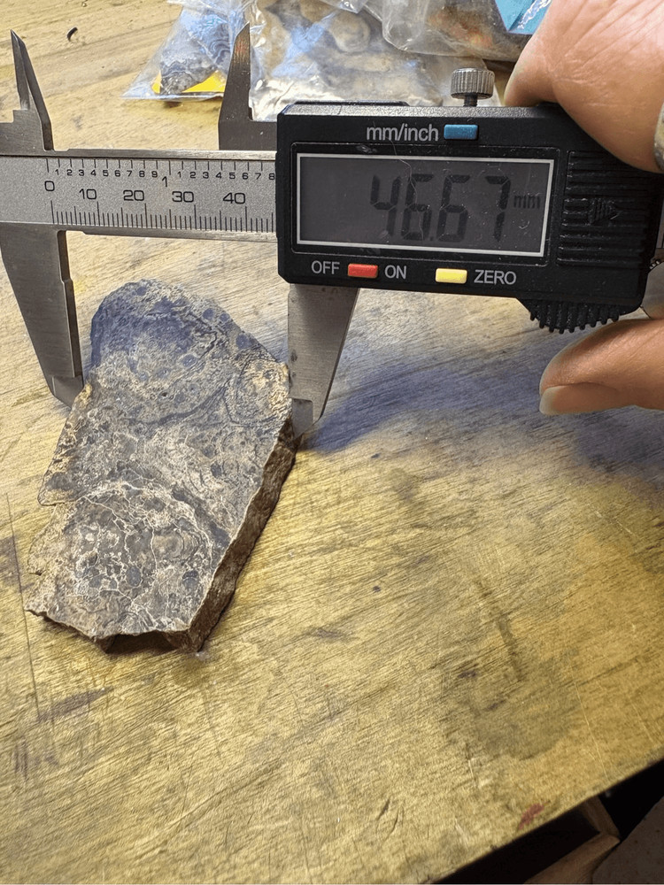 Petrified Wood Slabs (2)