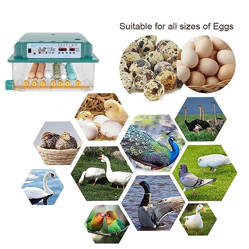 36 Eggs Incubator Chicken Incubators for Hatching Quail Automatic Egg Turning