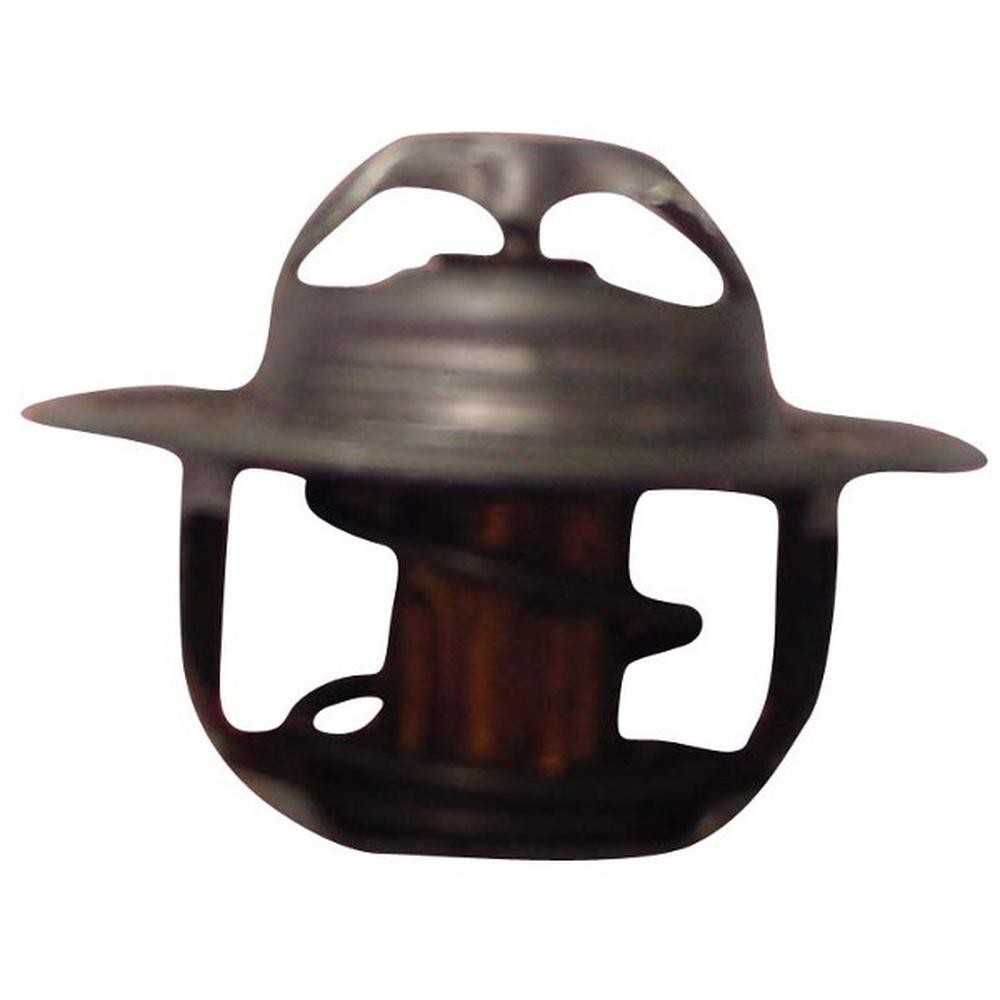 180 Degree Thermostat Fits David Brown