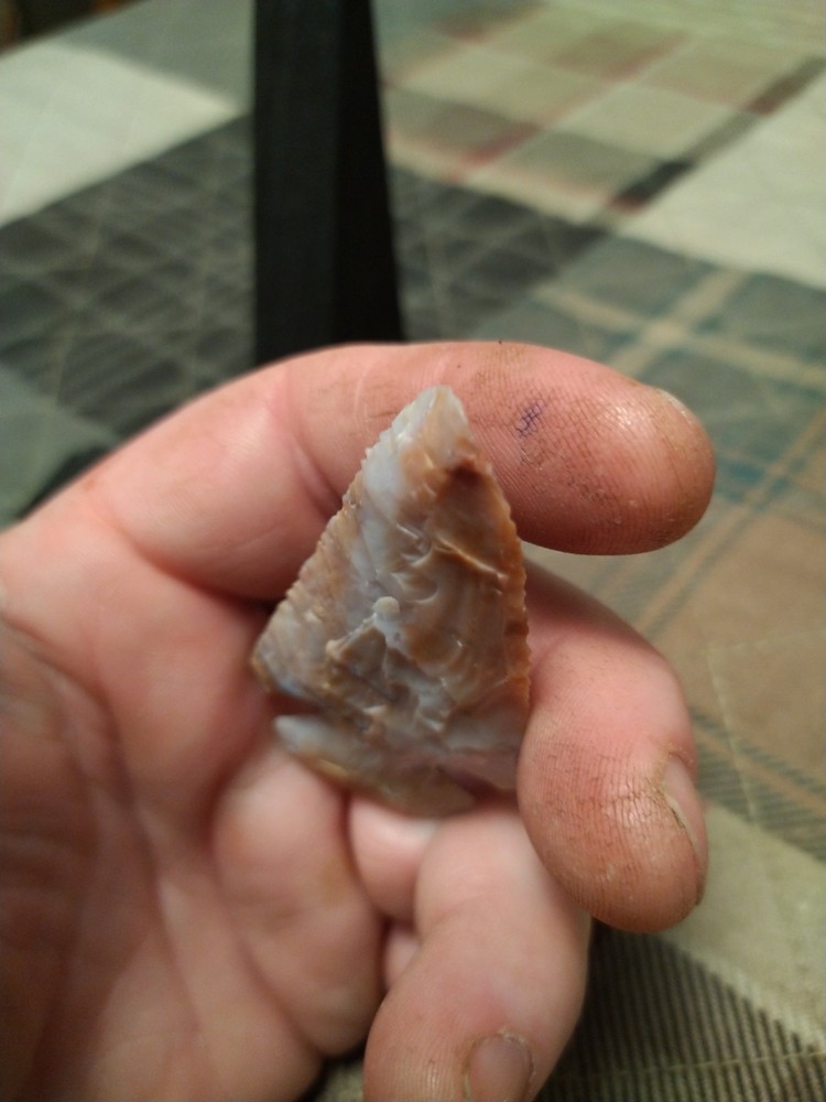 Snyder Flint Ridge Nice point 3"x1.5"
