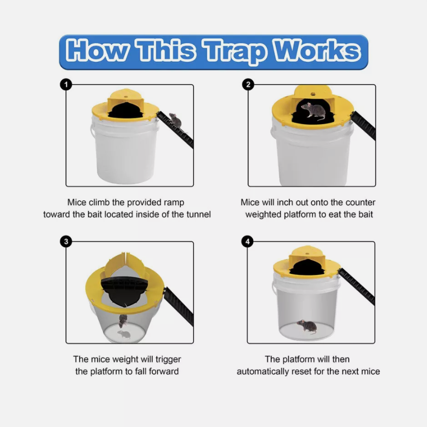 Bucket Mouse Trap 4 pack UPDATED 2024